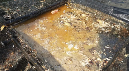 Grease Trap Pumping and Cleaning
