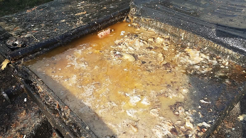 Photo of a full grease trap ready for pumping